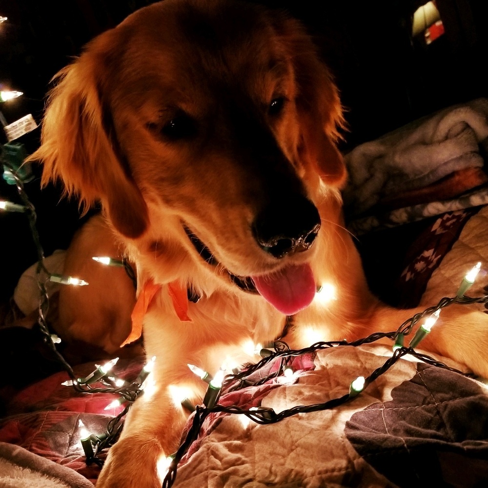 Meet your Posher, Kaleigh